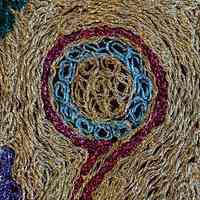          Contemporary Thobe (1994) picture number 3
   