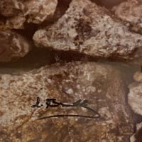          Woman in Ramallah Dress (1980s) picture number 2
   