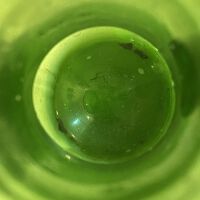          View from top opening of jug.
   