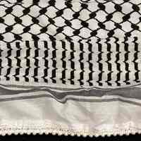          Palestinian Keffiyeh Scarf (Mid 20th Century) picture number 3
   