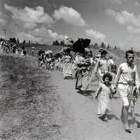 Fleeing the Nakba (1948)