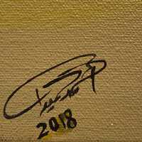          Artists signature/authentication
   