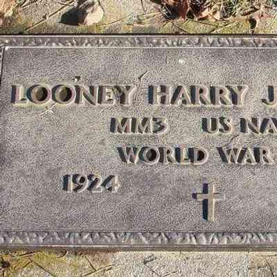 Looney Mills "Harry" Johnson