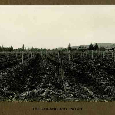 Wigrich Album 3, Image 45