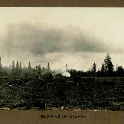 Wigrich Album 3, Image 46