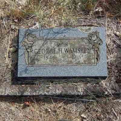 George Harlan Wamsley