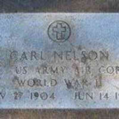 Carl Nelson