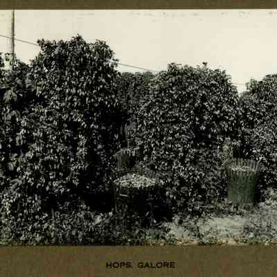 Wigrich Album 3, Image 15