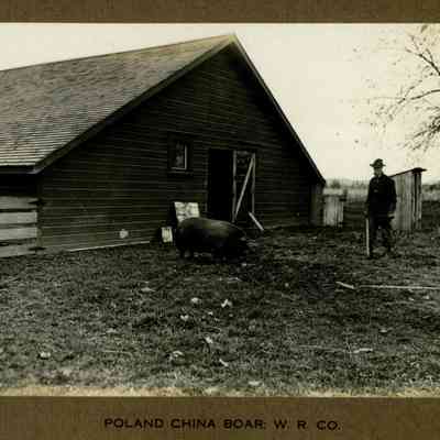 Wigrich Album 3, Image 42