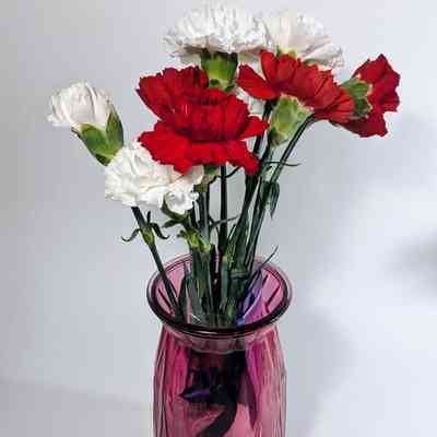Vase with Carnations