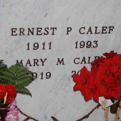 Ernest Paine Calef
