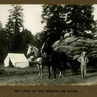 Wigrich Album 3, Image 17