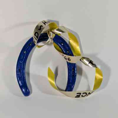 Blue Horseshoe Tribute – “David HHS Class of ’66”