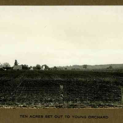 Wigrich Album 3, Image 44