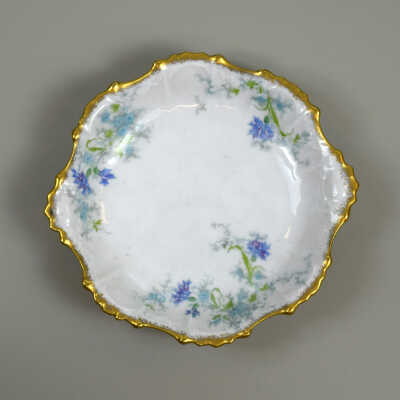 Dish