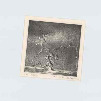 The Storm