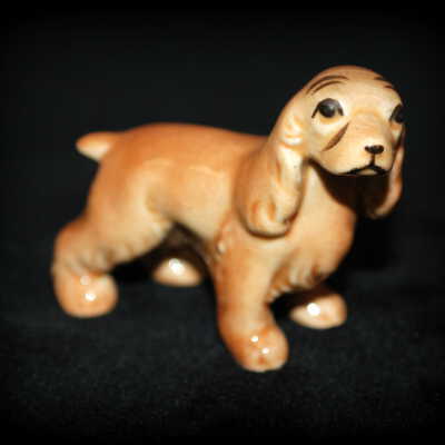Miniature: dog