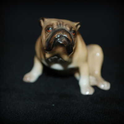 Miniature: dog