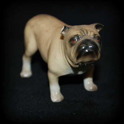 Miniature: dog