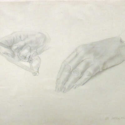 Hands of Dr. Pettit