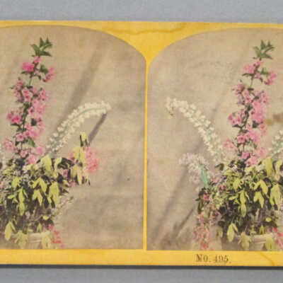 Stereograph: Flower Arrangment