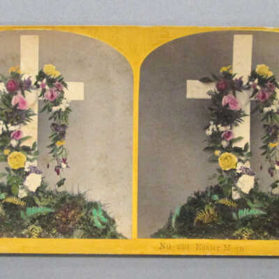 Stereograph: Flower arrangment