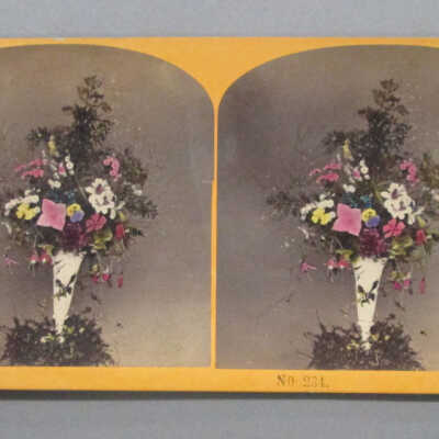 Stereograph: Flower Arrangment