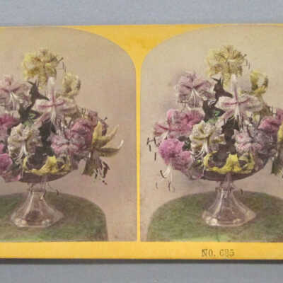 Stereograph: Flower Arrangment