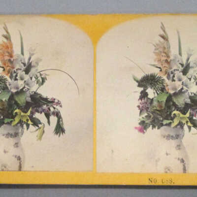 Stereograph: Flower Arrangment