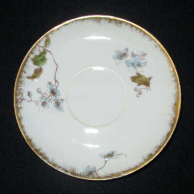 Saucer