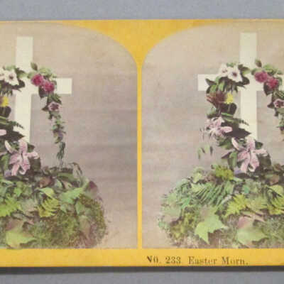 Stereograph: Floral Arrangment
