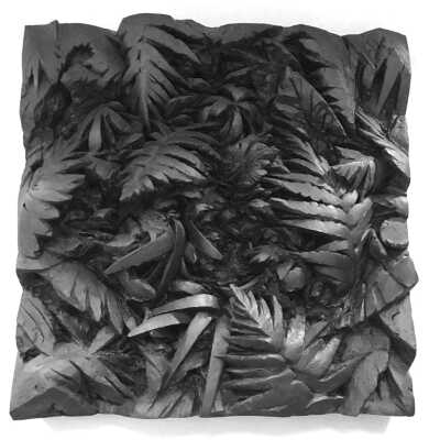 Ferns