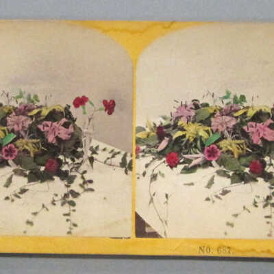 Stereograph: Flowers