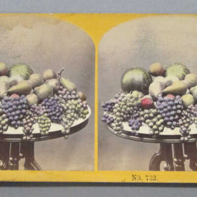 Stereograph: Fruits