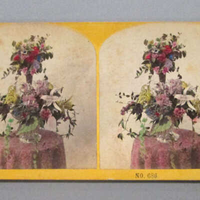 Stereograph: Flower Arrangment