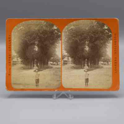 Stereograph: Gates Gallery