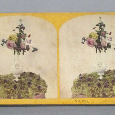 Stereograph: Flower Arrangment