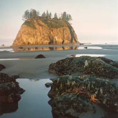 The Olympic Peninsula