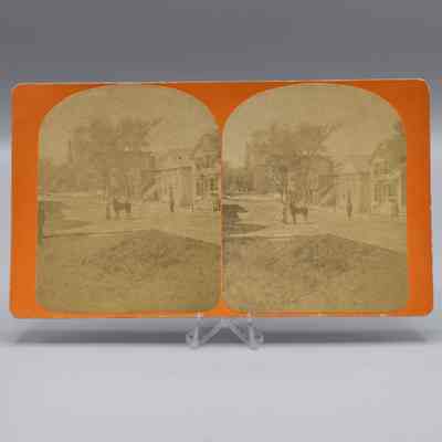 Stereograph: Man with Horse
