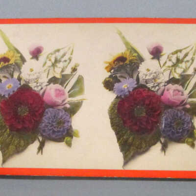 Stereograph: Flowers