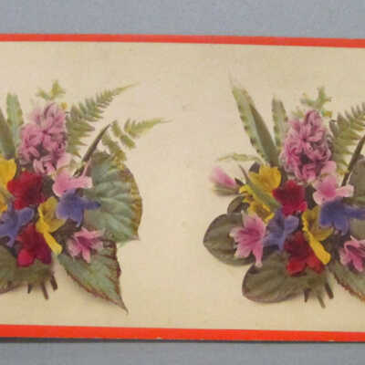 Stereograph: Flowers