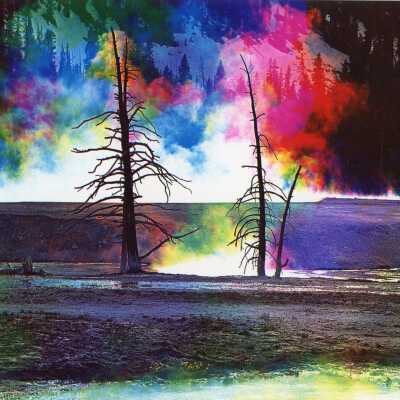 Untitled (Trees)