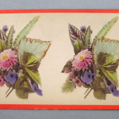 Stereograph: Flowers