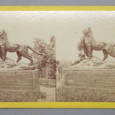 Stereograph: Central Park, New York