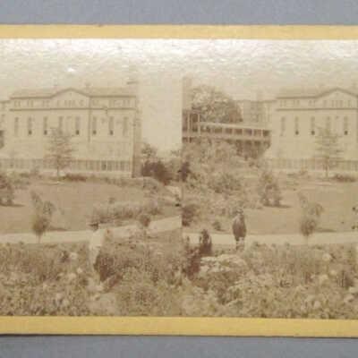 Stereograph: Central Park, New York