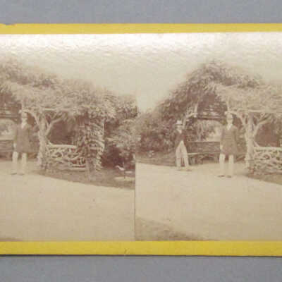 Stereograph: Central Park, New York