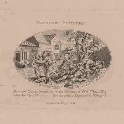 Feeding Poultry