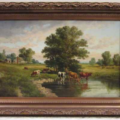 Cows Grazing