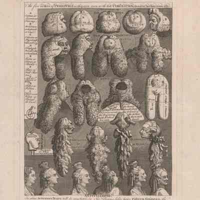 The Five Orders of Perriwigs as They Were Worn at the Late Coronation, Measured Architectonically