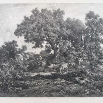 Landscape